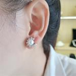 Bông tai ngọc trai NT02