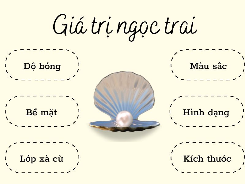 Các yếu tố đánh giá chất lượng ngọc trai.